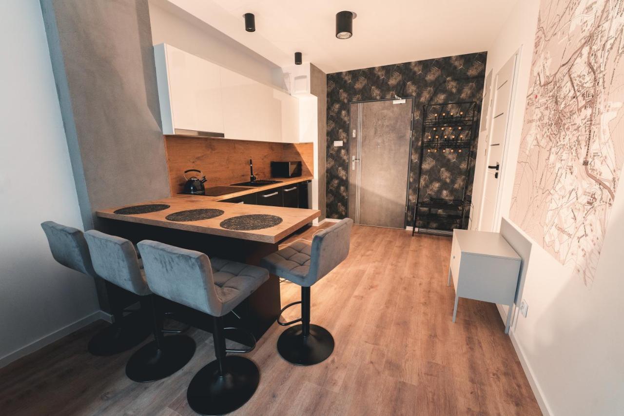 Appartement Apartament Nr 16 - Zrodlana 2 à Świeradów-Zdrój Extérieur photo